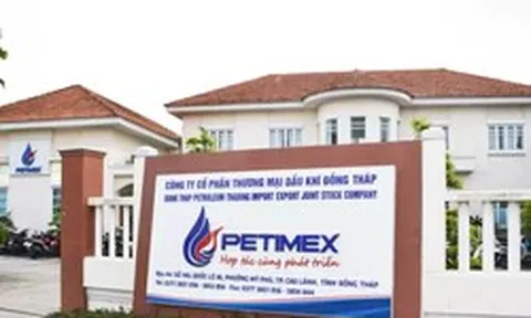 Thanh tra Chính phủ đề nghị điều tra vụ Petimex bán 185 triệu lít xăng dầu không hóa đơn