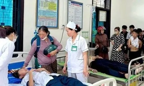 27 học sinh nhập viện do ong tấn công