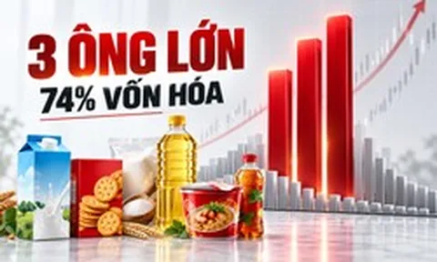 2 cổ phiếu nhà Masan và Vinamilk chiếm gần 74% vốn hóa toàn ngành thực phẩm