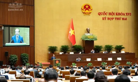 Quốc hội thảo luận về dự thảo Bộ luật Hình sự (sửa đổi)