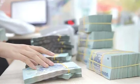 Nghiên cứu nâng mức phạt tiền, thời hiệu xử phạt vi phạm hành chính phù hợp với từng lĩnh vực