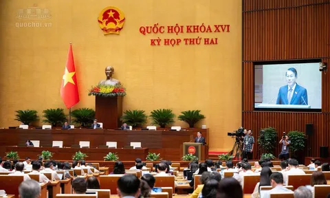 Dự thảo Bộ luật Hình sự (sửa đổi): Bảo đảm cân bằng giữa nghiêm trị và mở rộng chính sách khoan hồng, nhân đạo