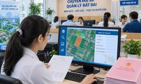 4 quy trình điện tử giải quyết thủ tục đất đai không phụ thuộc địa giới hành chính tại TP. Hồ Chí Minh
