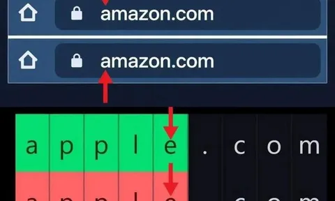 Cảnh báo thủ đoạn giả mạo tên miền website để đánh cắp tiền, dữ liệu