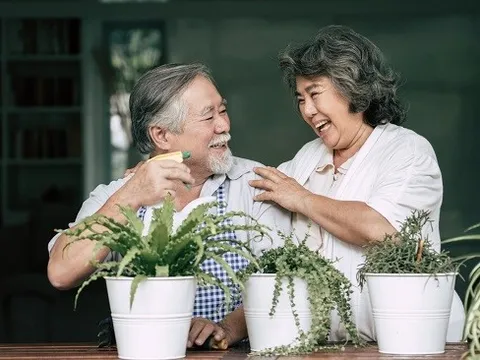 Nhà cho người cao tuổi – Dòng sản phẩm khan hiếm trên thị trường bất động sản hiện nay