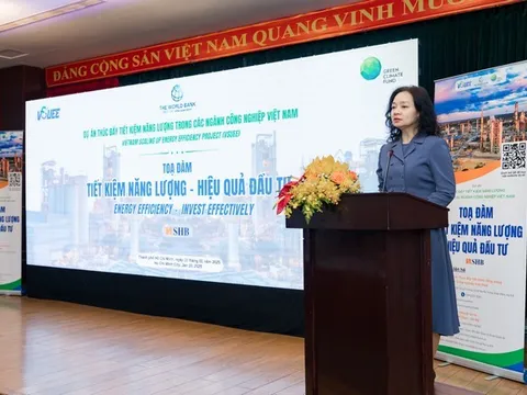 Thúc đẩy sử dụng năng lượng tiết kiệm và hiệu quả trong ngành công nghiệp Việt Nam