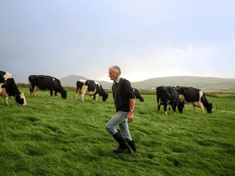 Bord Bia – Uỷ Ban Thực Phẩm Ireland một tuần của chiến dịch sữa Châu Âu từ Ireland tại Việt Nam thông qua một loạt hội thảo và workshop