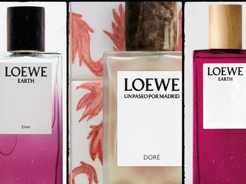 Tinh Túy Tây Ban Nha Trong Từng Làn Hương LOEWE