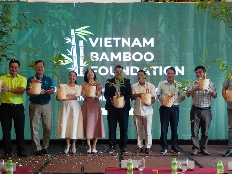 Bamboo Foundation Ra mắt Quỹ Phát triển Tre Việt với thông điệp “Tre xanh, vì tương lai xanh”