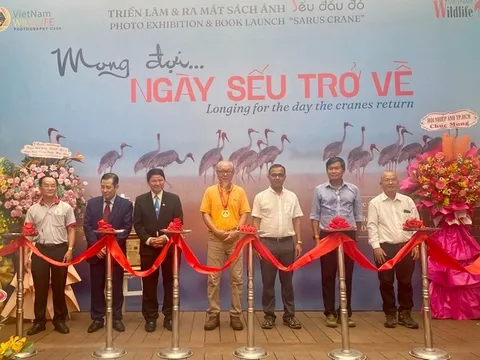 Khai mạc triển lãm ảnh Mong đợi ngày sếu trở về và ra mắt sách ảnh Sếu đầu đỏ của nghệ sĩ nhiếp ảnh Nguyễn Trường Sinh