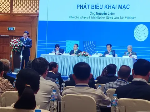 Đại hội Hiệp hội Gỗ và Lâm sản Việt Nam nhiệm kỳ V (2025–2030)