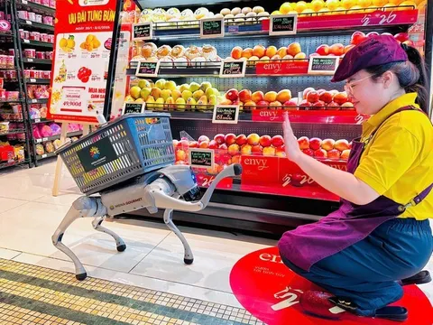 Menas Group Tiên Phong Đưa "Trợ Lý Ảo Thực Thể" Về Việt Nam Với Cặp Đôi Robot Dog MEME & NANA