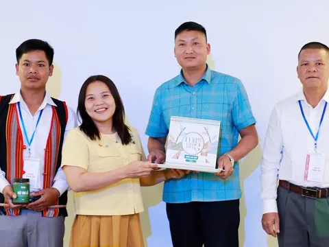 Thúc đẩy sinh kế từ lâm sản ngoài gỗ: Giải pháp hài hòa giữa bảo tồn đa dạng sinh học và phát triển kinh tế cộng đồng