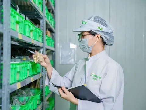 Từ “nâng tầm” đến “kiến tạo”: Vinasoy mở rộng phát triển dinh dưỡng thực vật
