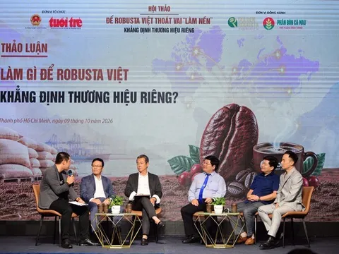 Để Robusta Việt thoát vai 'làm nền': Khai phá khoảng trống thương hiệu, khẳng định vị thế riêng