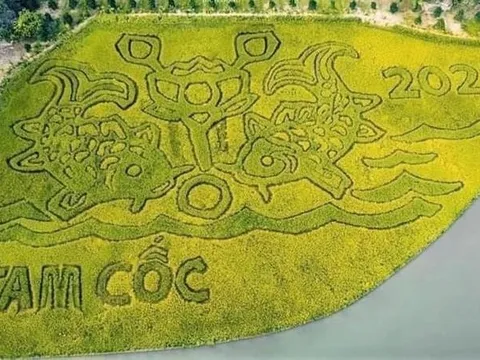 DN đằng sau bức tranh "Lý ngư vọng nguyệt'' trên cánh đồng lúa 10.000 m2 đẹp nhất Việt Nam: Đại gia của những siêu dự án tâm linh tỷ đô