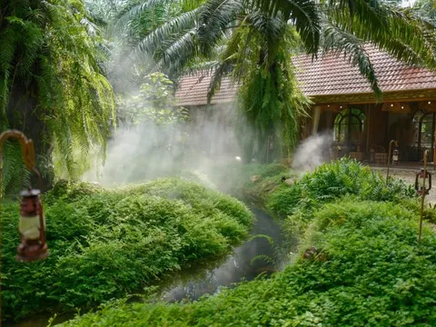 Cuộc tháo chạy khỏi homestay của “nhà giàu”: Lo sợ thanh tra đất rừng, đất nông nghiệp và những thương vụ rao bán ngầm