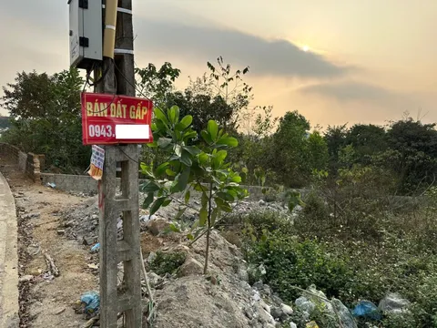 Tham lãi khủng khi thị trường “sốt”, bây giờ nhà đầu tư bất động sản ngồi chốt số lỗ: “Biết thế tôi gửi tiền ngân hàng thì đã có thêm vài trăm triệu”