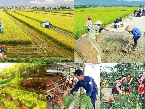 Xây dựng chính sách đặc thù để tháo gỡ khó khăn, đẩy nhanh tiến độ thực hiện các Chương trình mục tiêu quốc gia