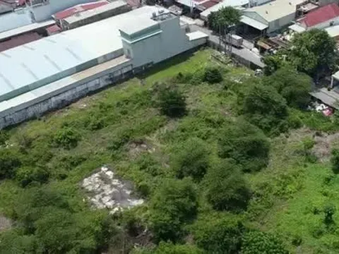 ‘Lộ’ lý do nhiều nơi đất đấu giá bị ế