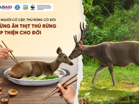 Phát động chiến dịch 'Ngừng ăn thịt thú rừng, góp thiện cho đời'