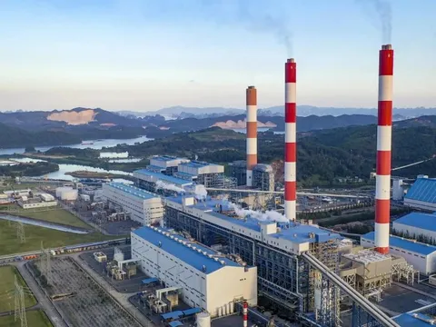 Lộ trình chuyển đổi cho các nhà máy nhiệt điện than lớn của Việt Nam