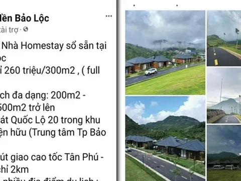 Sập bẫy "lùa gà" đi tỉnh mua đất nền