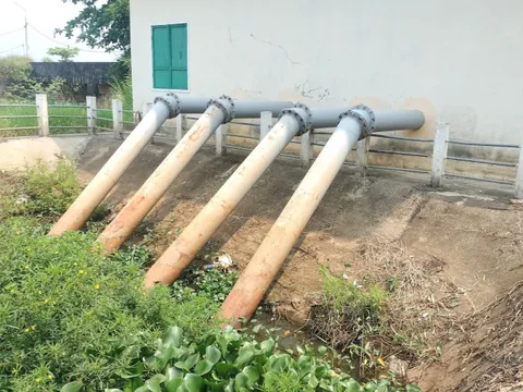 Quảng Nam ứng phó nguy cơ xâm mặn, hạn hán trên diện rộng