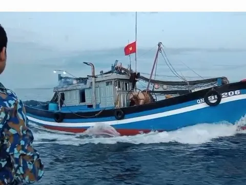 Quảng Nam tăng cường tuần tra trên biển, xử lý nghiêm tàu cá vi phạm IUU