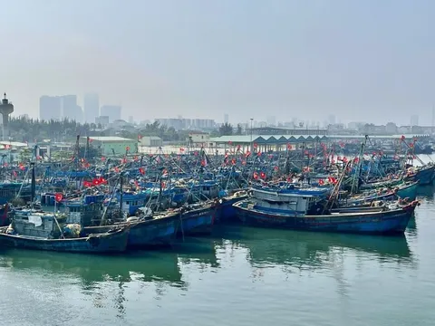 Ngư dân Đà Nẵng chung tay gỡ 'thẻ vàng' khai thác IUU