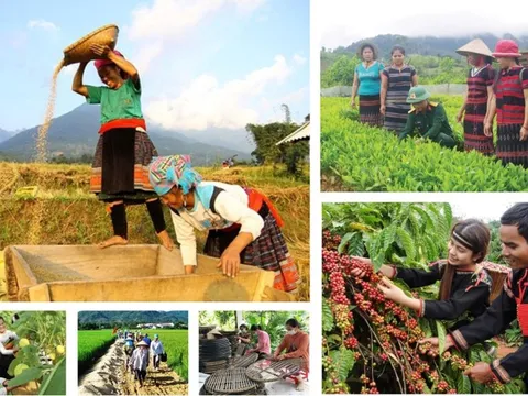 Triển khai cơ chế, chính sách đặc thù đẩy nhanh tiến độ chương trình mục tiêu quốc gia tại địa phương