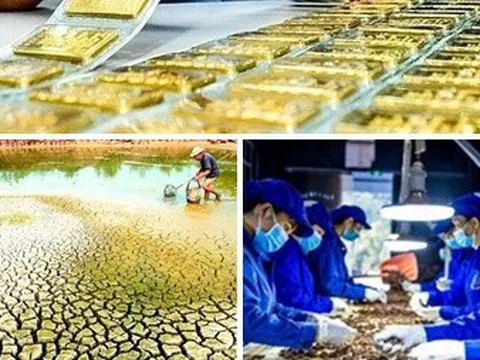 Chỉ đạo, điều hành của Chính phủ, Thủ tướng Chính phủ nổi bật tuần từ 8-12/4/2024