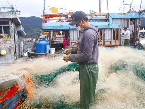 Bình Định: Tuyên truyền chống khai thác IUU theo phương châm 'mưa dầm thấm lâu'