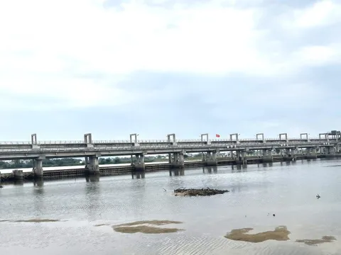 Quảng Ngãi tăng cường các biện pháp phòng, chống nắng nóng, hạn hán, thiếu nước