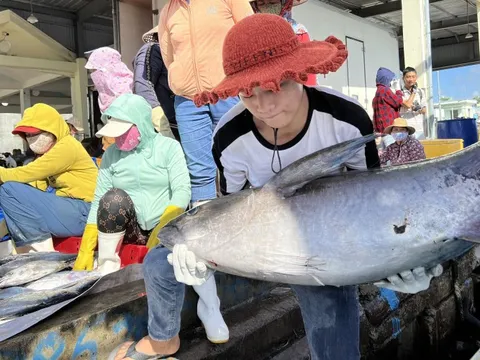 Chia sẻ kinh nghiệm quốc tế về chống khai thác IUU