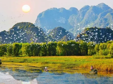 Hưởng ứng Ngày Quốc tế Đa dạng sinh học năm 2024