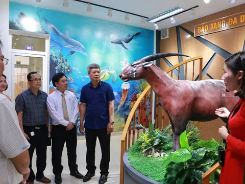 Ra mắt bảo tàng đa dạng sinh học cấp tỉnh đầu tiên