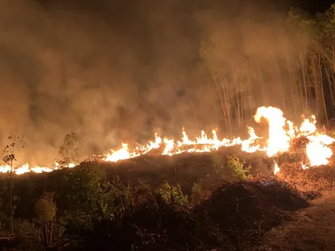 Quảng Ngãi triển khai lực lượng ứng trực 24/24 trong suốt mùa khô