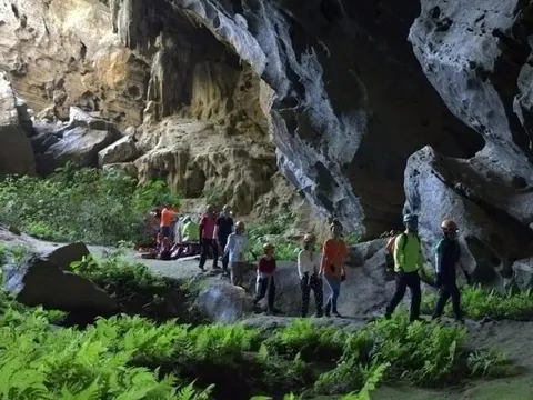 Khách quốc tế đến Việt Nam tăng 51% trong 7 tháng năm 2024