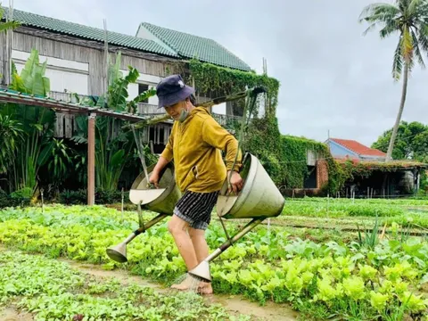 Quảng Nam có 25 doanh nghiệp đạt chứng nhận du lịch xanh