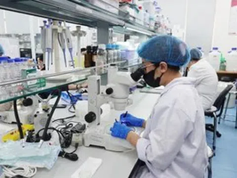 Trong 5 năm, Đại học Quốc gia TPHCM cung cấp hơn 80.000 nhân lực chất lượng cao