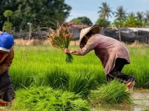 Pakistan muốn học Trung Quốc, xây dựng 'tương lai thịnh vượng' bằng kinh tế nông nghiệp