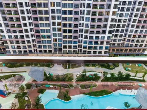 Căn hộ cho thuê 'lên ngôi' vì giá nhà tăng quá cao