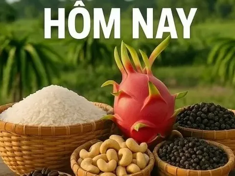 Giá nông sản hôm nay 28/8/2025: Cà phê Việt 'được mùa được giá'; Né đòn thương mại Mỹ nước này định tăng thuế với Trung Quốc