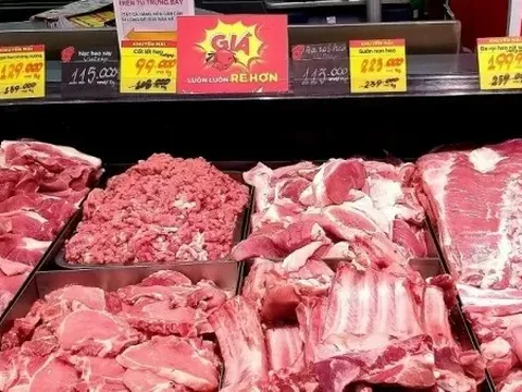 Giá heo hơi hôm nay 29/8: Miền Bắc bất ngờ tăng nhẹ, 58.000 đồng/kg là mức cao nhất cả nước