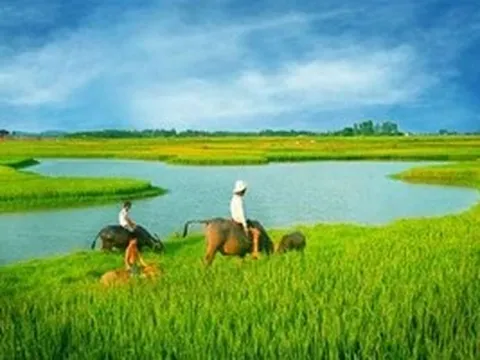 Vùng trời quê hương
