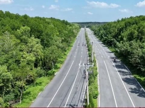 TP.HCM chỉ đạo liên quan đề xuất làm đường sắt đô thị của các doanh nghiệp lớn
