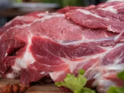 Giá heo hơi hôm nay 9/9: Cả nước dao động từ 54.000 - 59.000 đồng/kg