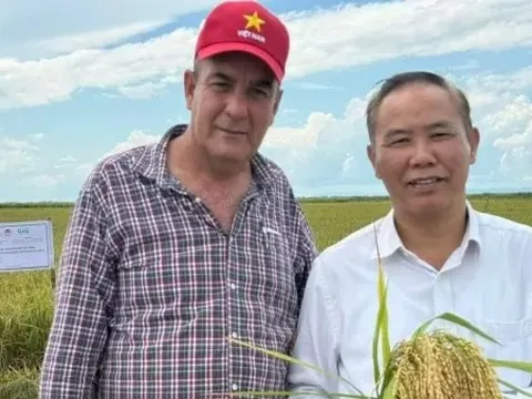 Hợp tác nông nghiệp Việt Nam-Cuba mở rộng từ lúa gạo sang chăn nuôi, thủy sản và công nghệ sinh học