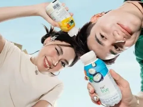 Nước uống Sữa trái cây mát lịm - thức uống giải nhiệt tiếp năng lượng cho Gen Z